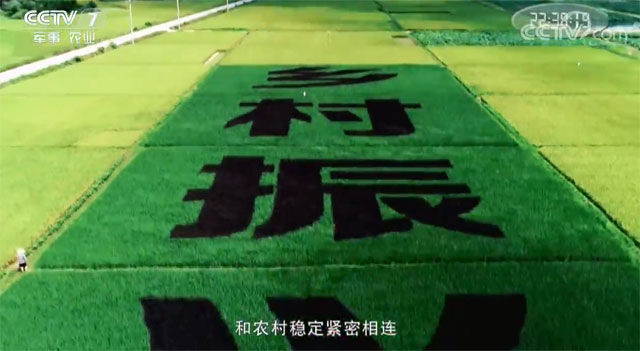 �r(n��ng)��ĸ�