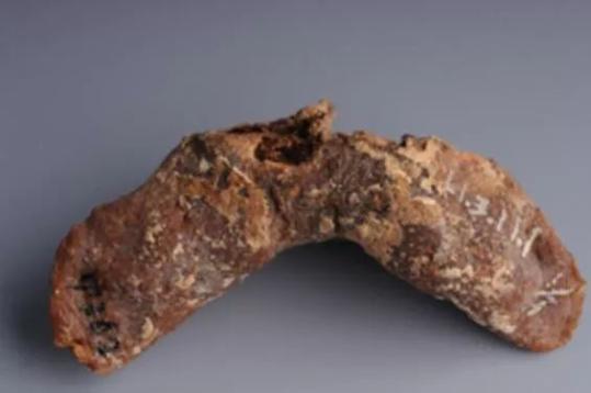 文物解碼丨唐代西域的餃子與餛飩