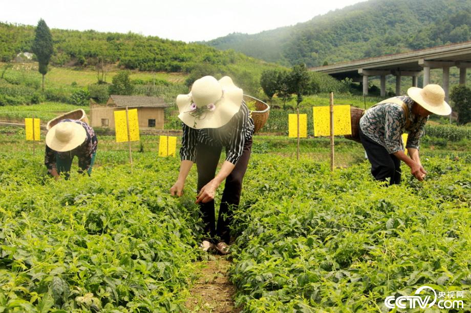 �M�J����(zh��n) ӭ�y���� ���Óؚ���Ե�18��˲�g