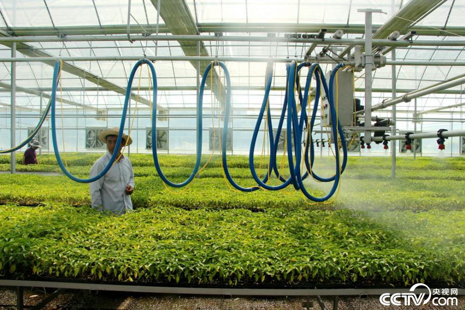 �M�J����(zh��n) ӭ�y���� ���Óؚ���Ե�18��˲�g