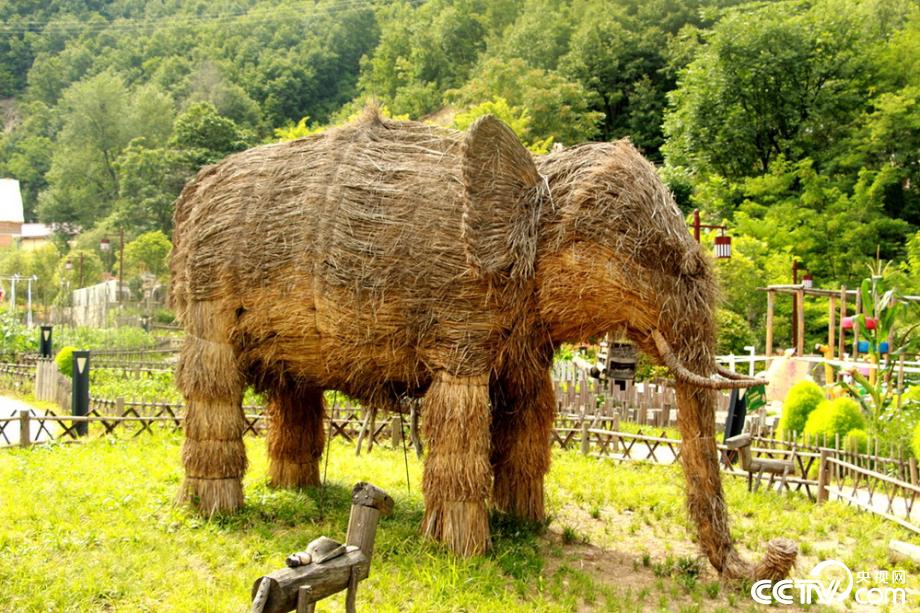 �M�J����(zh��n) ӭ�y���� ���Óؚ���Ե�18��˲�g