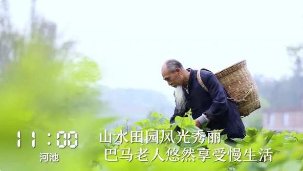 һ��24С�r(sh��)���V���ڰl(f��)��ʲô