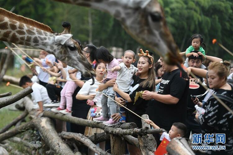 ���G������Ŀ��Ȼ�������������á�����(w��n)�������䌍���������΄����^��