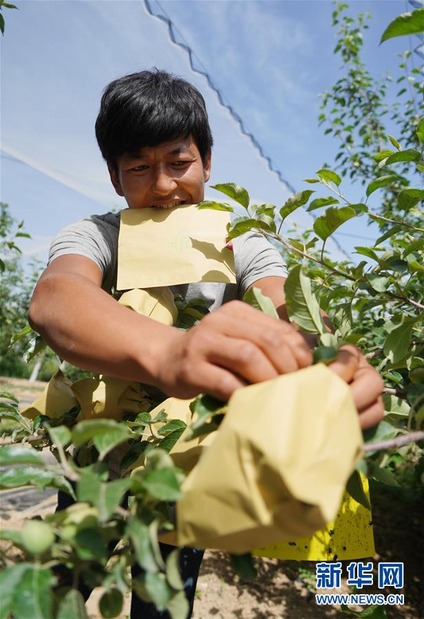 ����(x��)��ƽ��С�����¡��D�Ļ��ӣ���2�����Һ����ε�һ���£�����׌�l(xi��ng)�H���һ�D�⡱������(x��)��ƽ��Óؚ���ԵĹ���