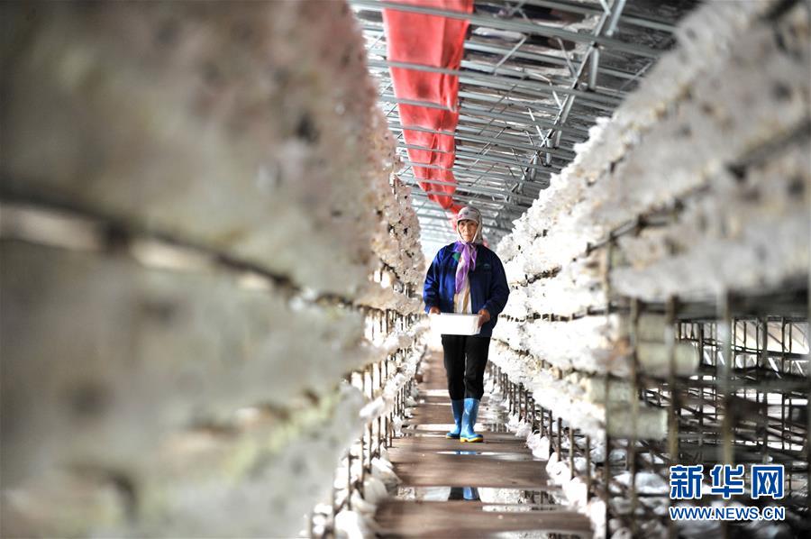 ����(x��)��ƽ��С�����¡��D�Ļ��ӣ���6�����Һ����ε�һ����������׌�l(xi��ng)�H���һ�D�⡱������(x��)��ƽ��Óؚ���ԵĹ���