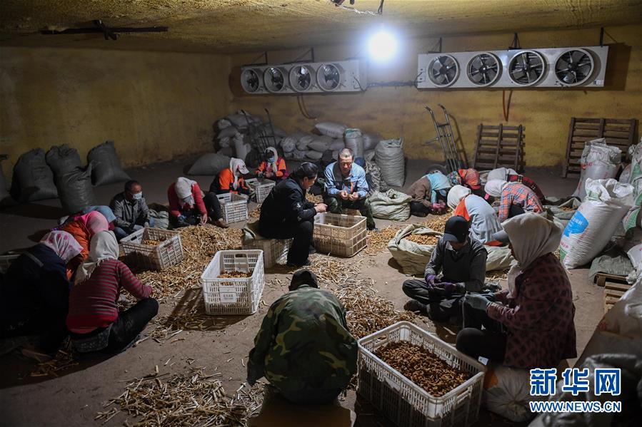 ����(x��)��ƽ��С�����¡��D�Ļ��ӣ���8�����Һ����ε�һ���£�����׌�l(xi��ng)�H���һ�D�⡱������(x��)��ƽ��Óؚ���ԵĹ���