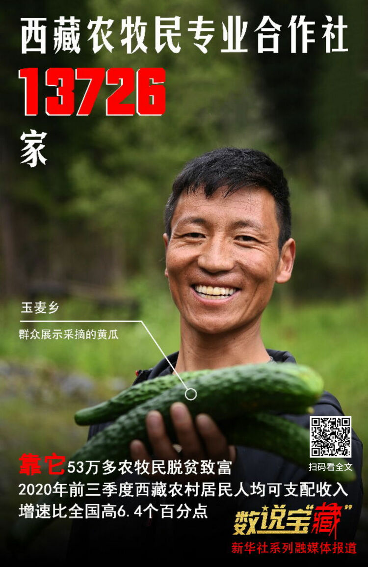 ���@�M��(sh��)�f�����ء������������ؽ����Ҹ�����