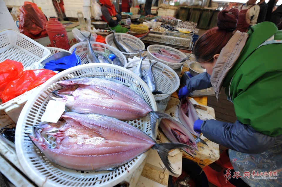 青島進入秋鲅魚晾曬季 空中美味誘人味蕾(圖)
