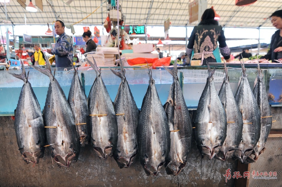 青島進入秋鲅魚晾曬季 空中美味誘人味蕾(圖)