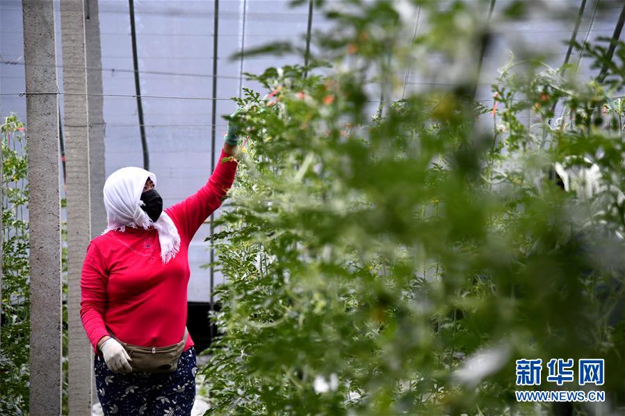 ����(j��ng)��(j��)����2��ɽ�|��ͤ���F(xi��n)���r(n��ng)�I(y��)�a(ch��n)�I(y��)�@��֏�(f��)���a(ch��n)æ