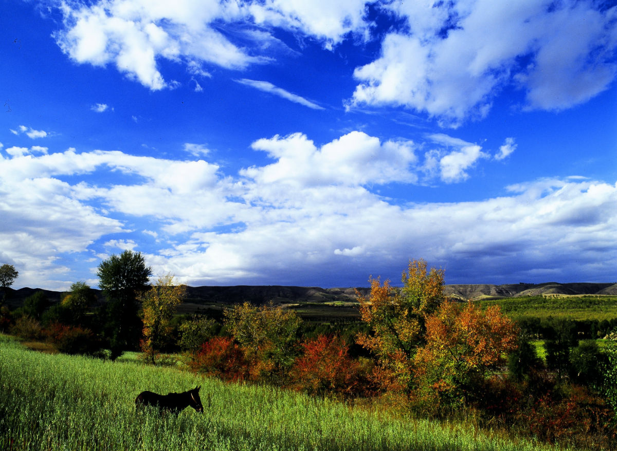 ��������f������:���ɲ��������츣�ӌO���