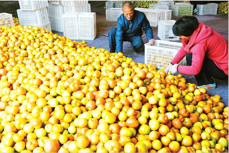 ԫ���h��Óؚ�¸�·