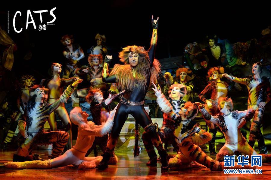 ��Ո(q��ng)�l(f��)���A�W(w��ng)����l����Ӣ��ԭ����������؈��4�µ׵�������Ժ