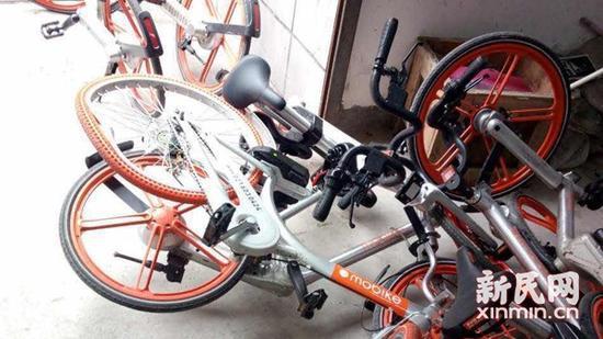 �Ϻ����vĦ�݆�܇����߿Ւ��� �\(y��n)�I���ш�(b��o)��