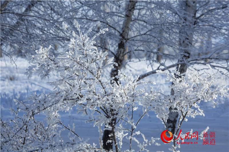 �����r(sh��)��(ji��)���K��ԭӭ���Fڡ���^���D����2��