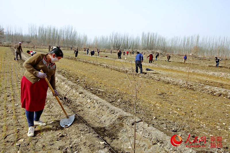 ��܇�а��������(zh��n)�̿���˹̹����������g���^���������������၆�Ρ������ �z