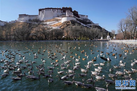 �����Aҕ�磩��6���������_