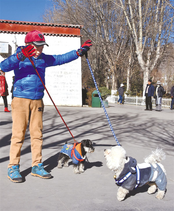 yangnl93162_s.jpg yangnl93162_s.jpg