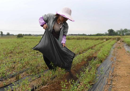 �V���M�hУ���(zh��n)ʯ��������������������ʩ�ʣ�4��12�Քz)���@Щ���������ÿɶѷ��������a(ch��n)�ġ����A��ӛ�� ���A �z