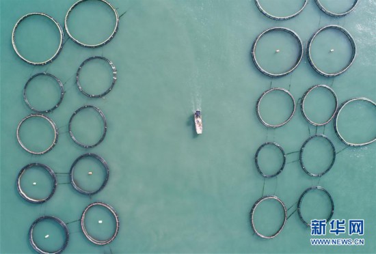 �������Ї�(gu��)����1���|������������(ch��ng)��ӭ�S��